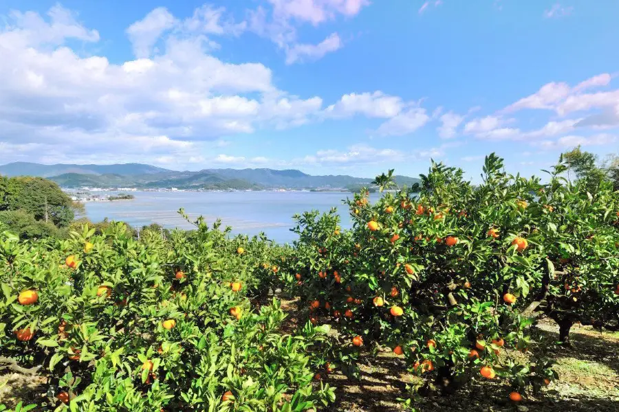 Lake Hamana