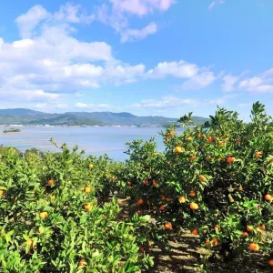 浜名湖