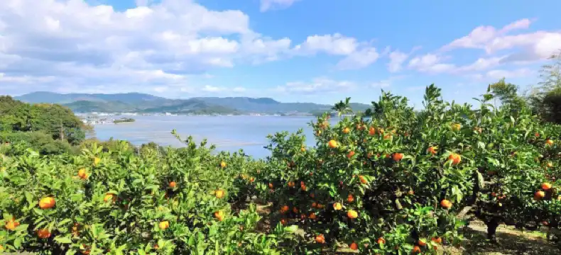 Comfort Inn properties in Hamamatsu