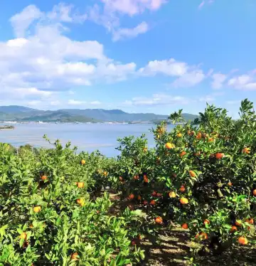 鄰近JR弁天島站的酒店