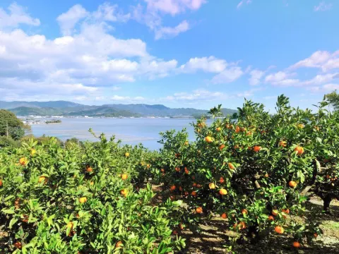 濱松市