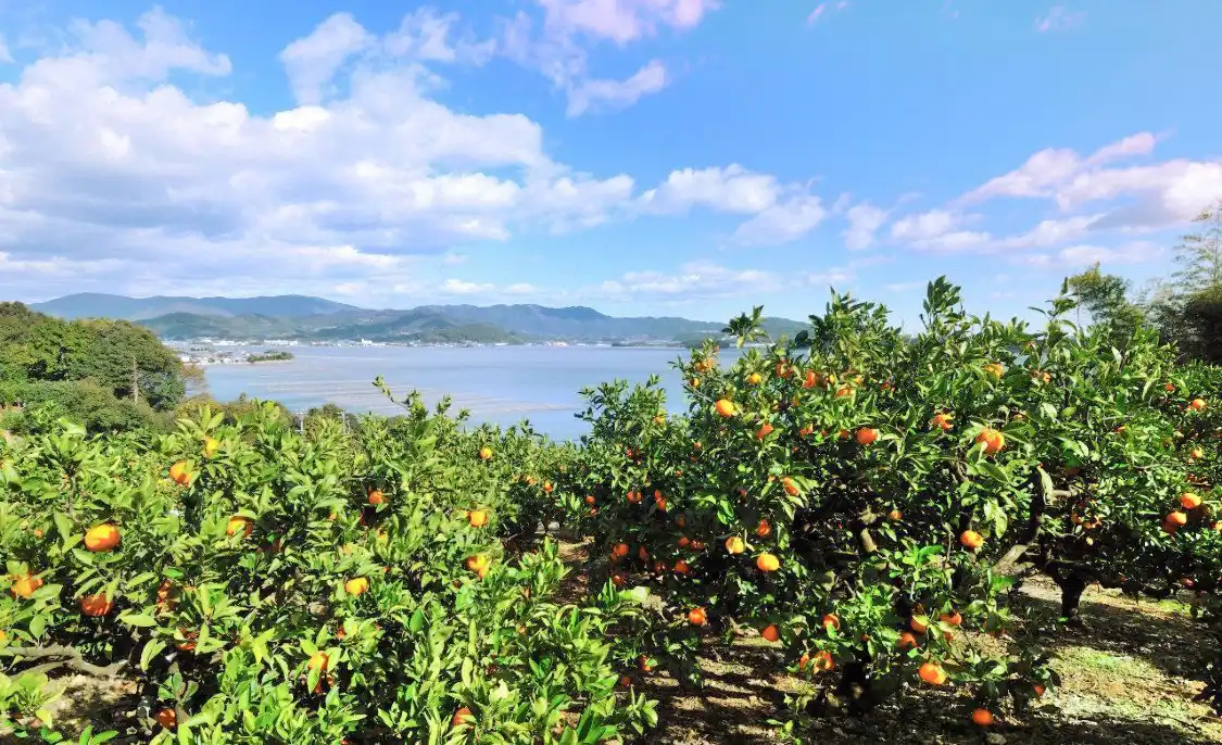 Hotels near Lake Hamana