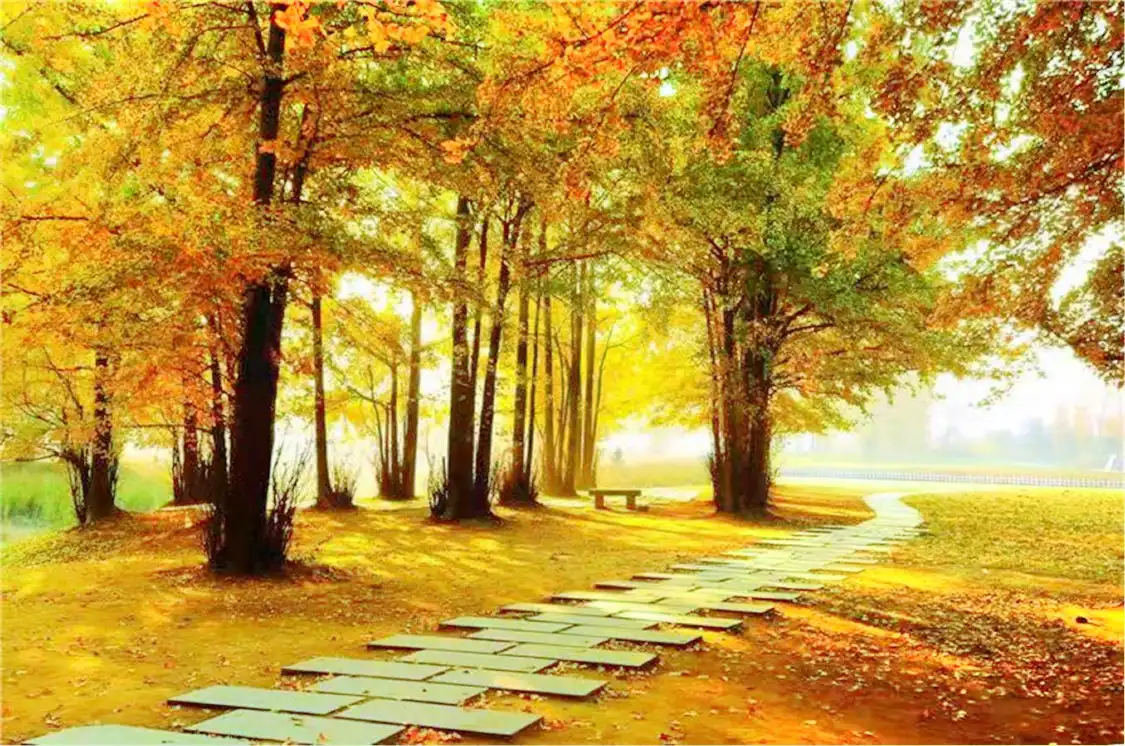 Hotels near Chinese Ginkgo Flower Garden