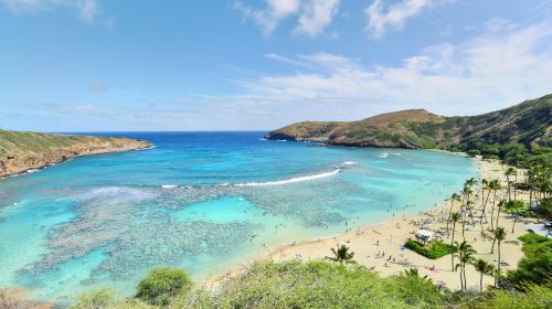 Hanauma Bay