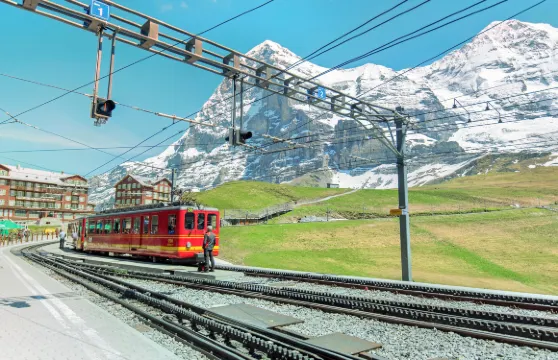 費爾斯特山來回纜車票成人（持有瑞士半價卡）