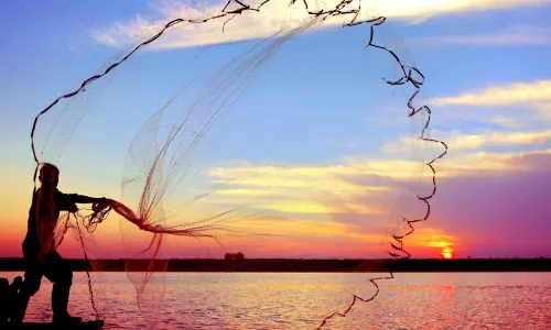 Poyang Lake National Wetland Park