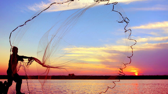 Poyang Lake National Wetland Park