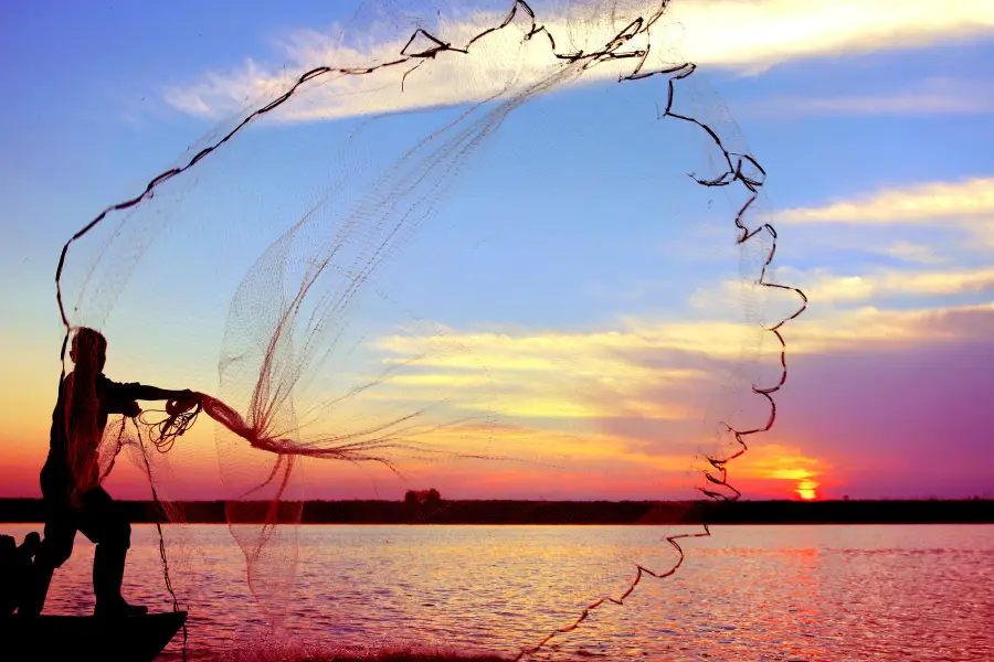 Poyang Lake National Wetland Park