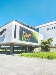 Muséum d'histoire naturelle