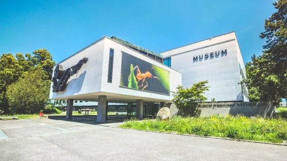 Natural History Museum of Geneva