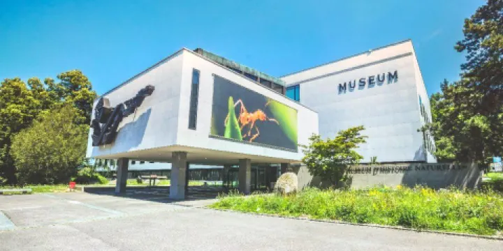 自然歷史博物館