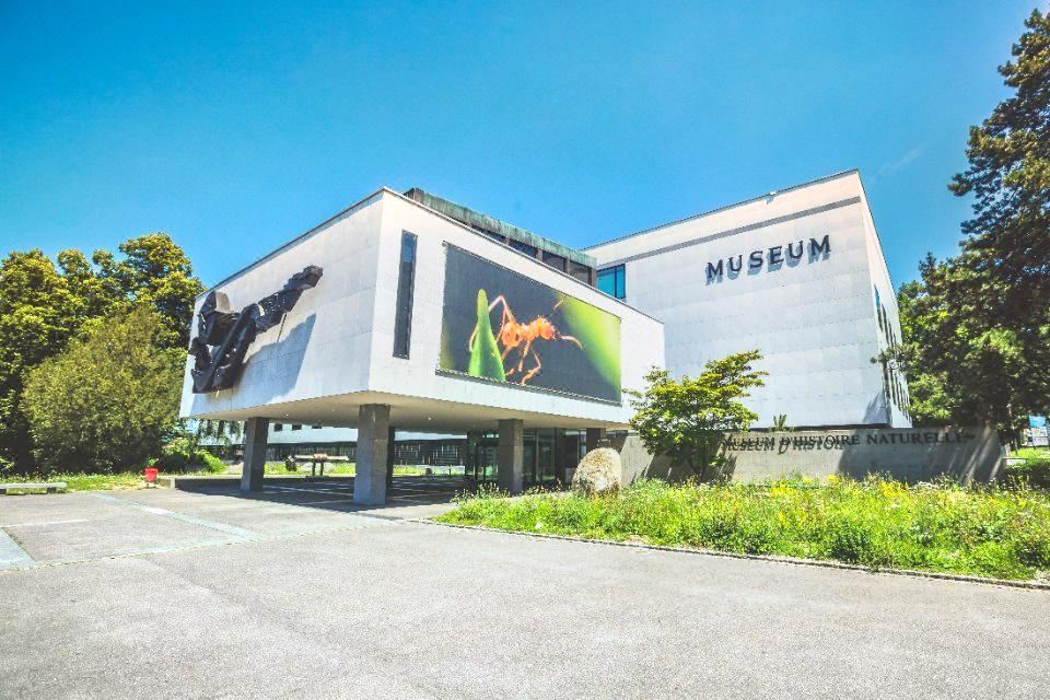 Natural History Museum of Geneva