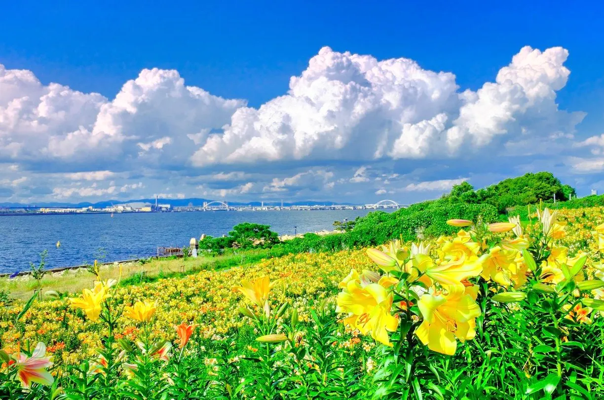 2_大阪舞洲百合園