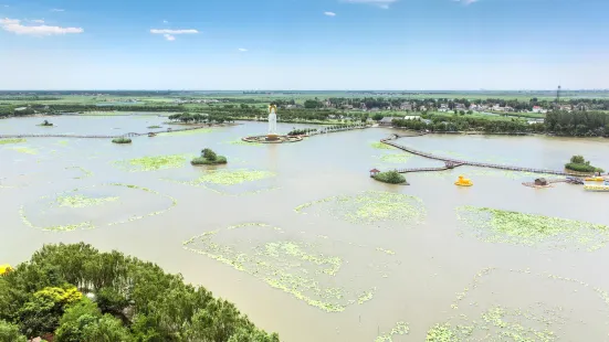 Baiyang Lake Qianli Dike