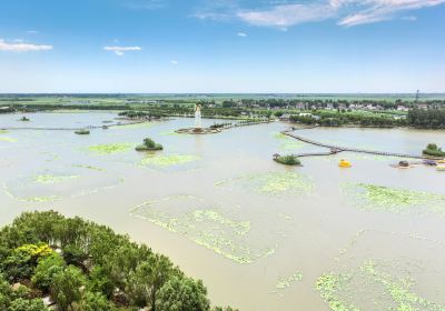 Baiyang Lake Qianli Dike