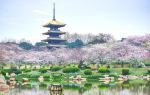 East Lake Cherry Blossom Garden