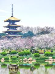 東湖桜花園