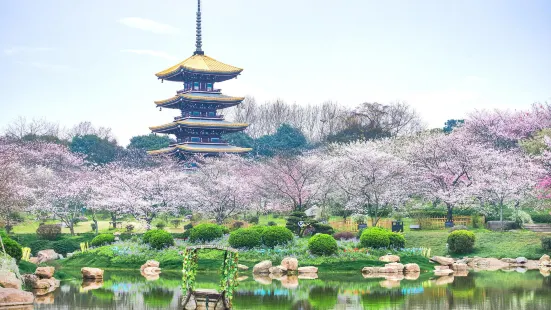 東湖桜花園