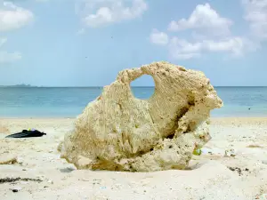요네하라비치