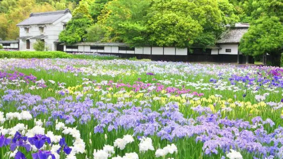 加茂莊花鳥園