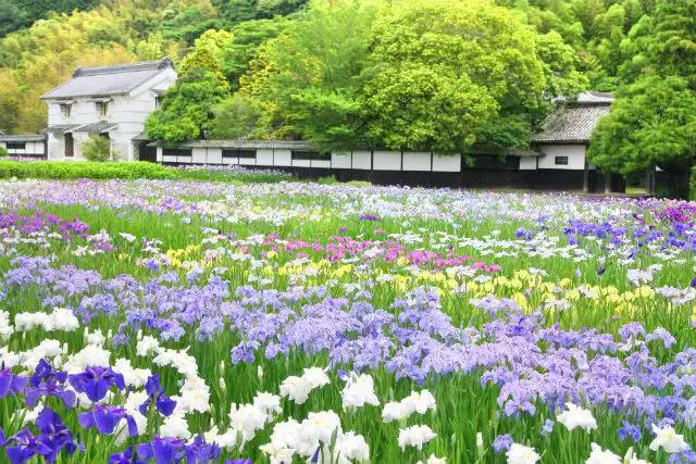 Các khách sạn gần Kamo Garden