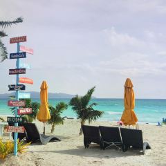 The Sunny Side Cafe User Photo