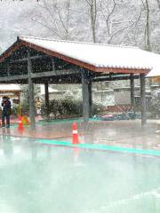 Emei Mountain Source Hot Spring