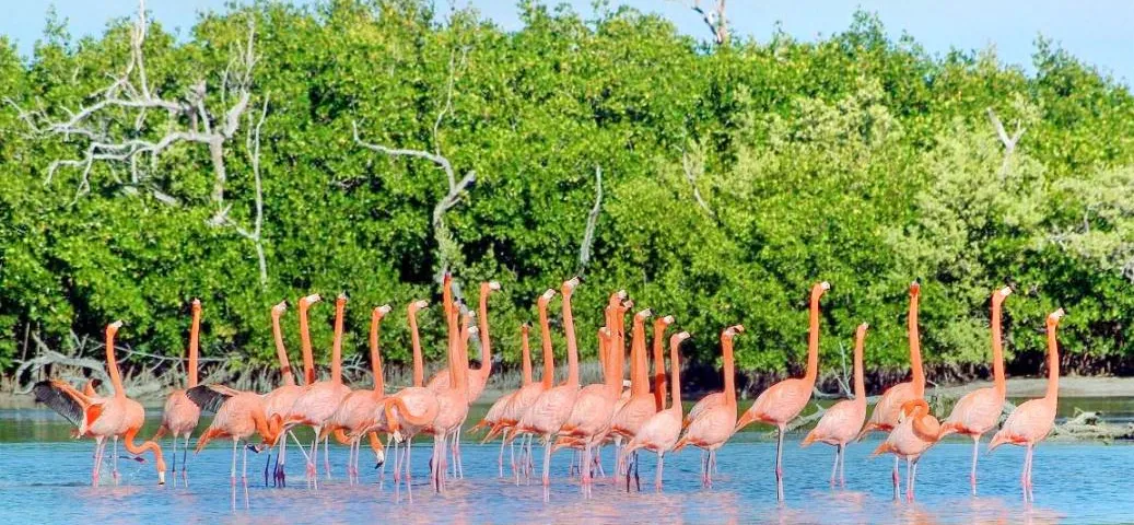 TiziminTur Satu Hari