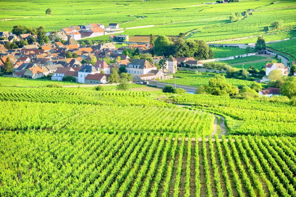 Hotels near Castle de Pommard