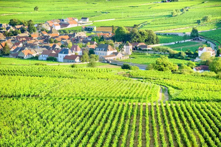 Hotels in Pommard