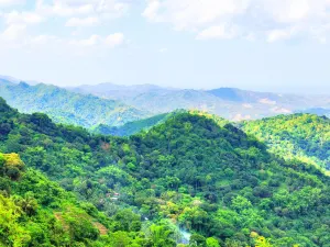 TOPS Cebu
