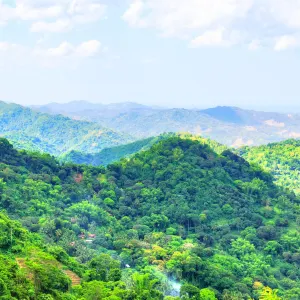 Tops观景台