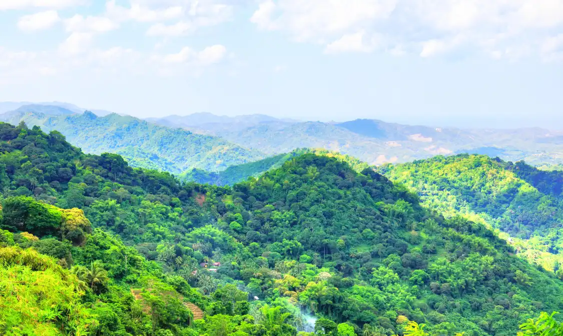 Hotels near TOPS Cebu