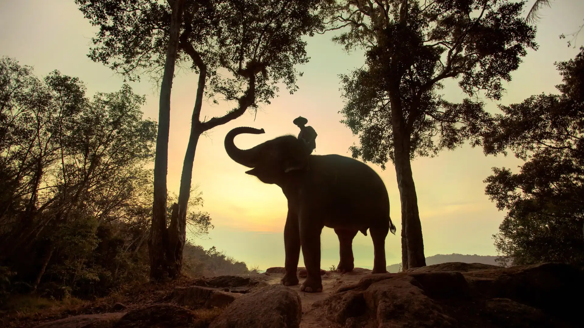 Thom's Pai Elephant Camp 주변 호텔