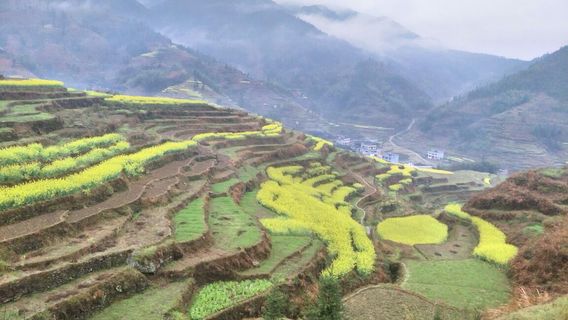 Xupu Longtan Ancient Town