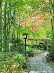 Bamboo Forest Path