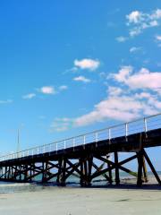 Semaphore Beach