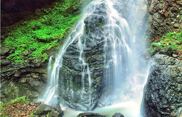 百漈溝景區門票 + 彩虹滑道票 + 彩虹天橋票成人