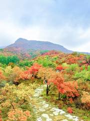 房山世界地質公園