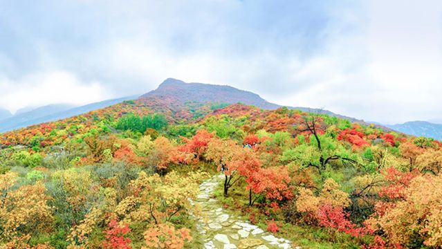 Fangshan Global Geopark