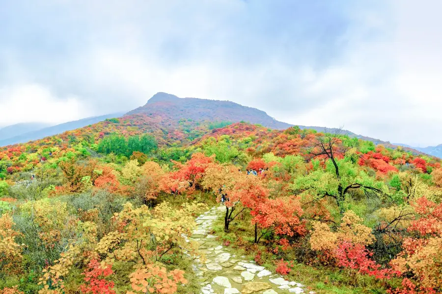 Fangshan Global Geopark