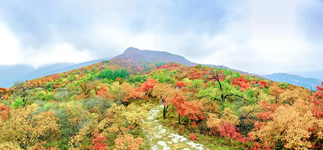 Hotels near Fangshan Global Geopark