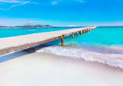 Alcudia beach
