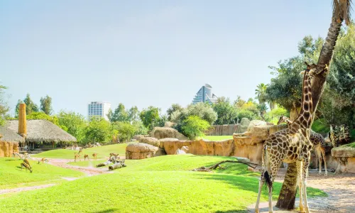 Bioparc Valencia