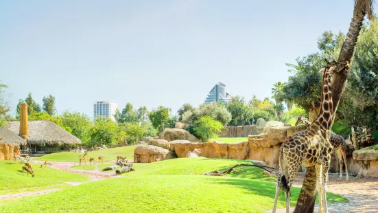 발렌시아 동물공원