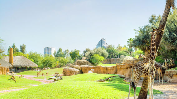 Bioparco di Valencia