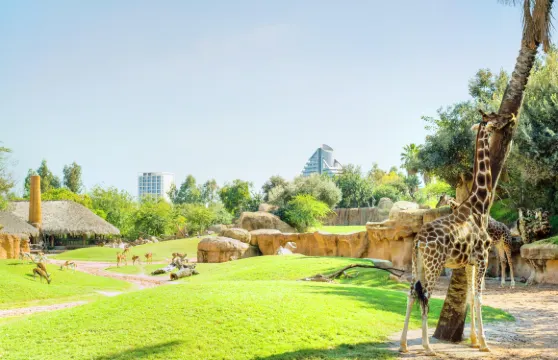 瓦倫西亞動物園快速入場票成人