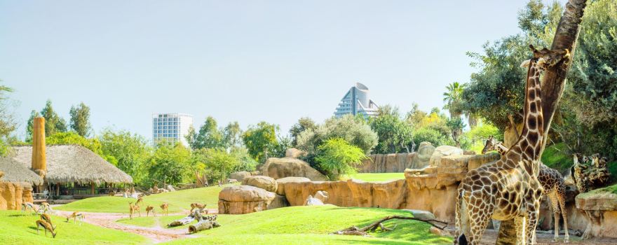 Bioparc Valencia