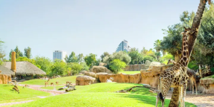 瓦倫西亞動物園