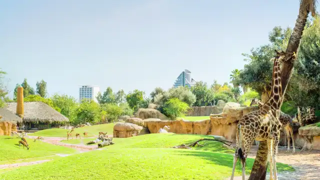 Bioparc Valencia